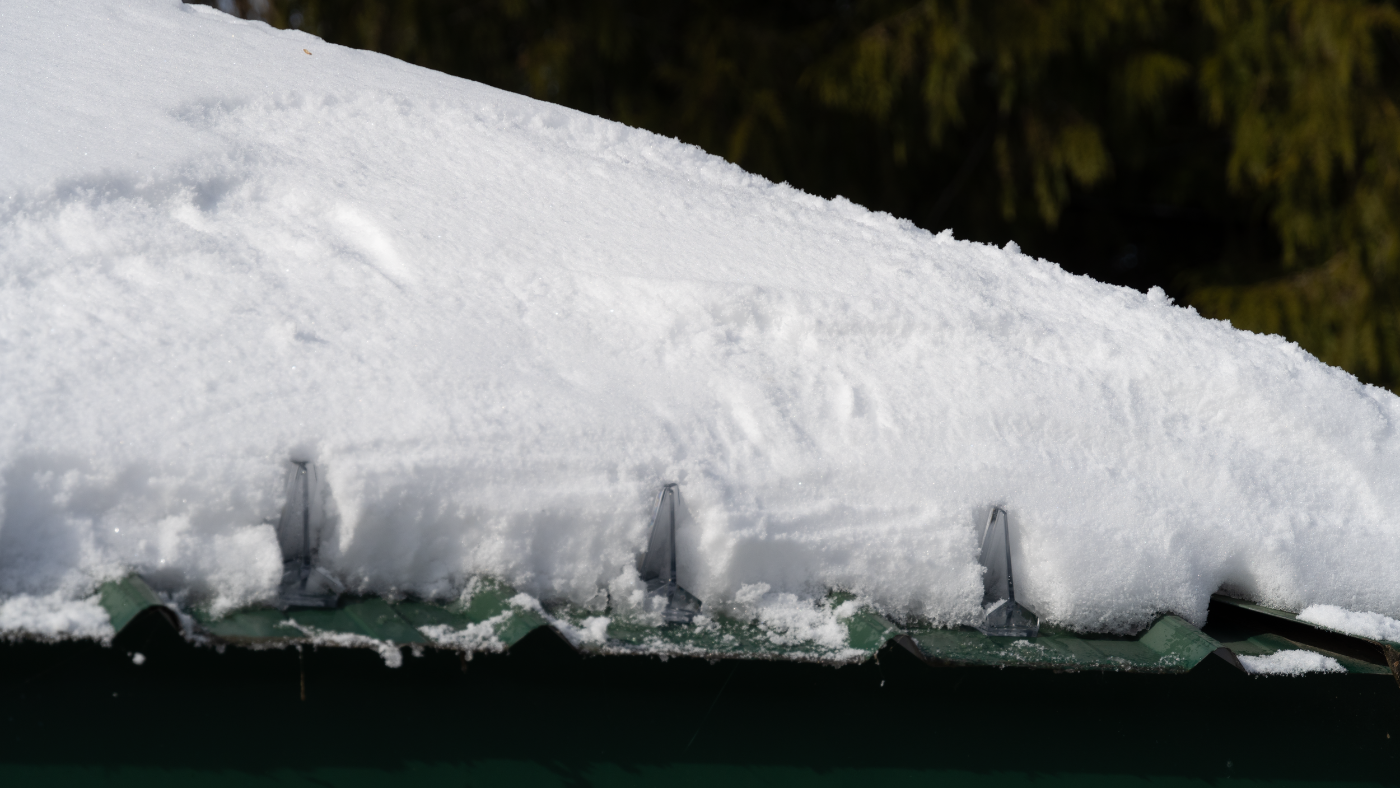 Mini Series snow guards holding snow on a green metal roof